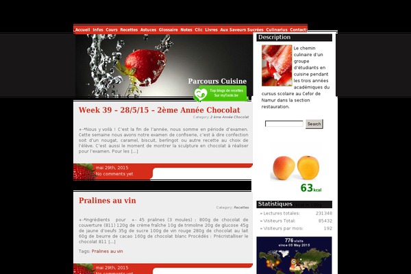 Site using About Me 3000 widget plugin