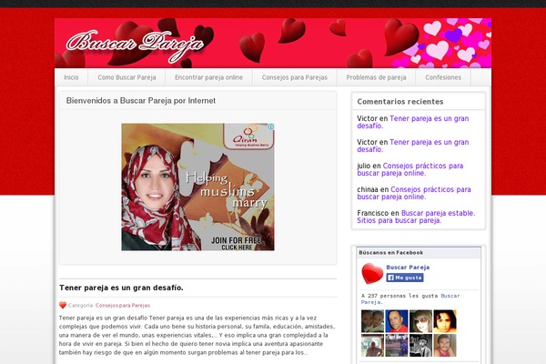 Proreview theme site design template sample