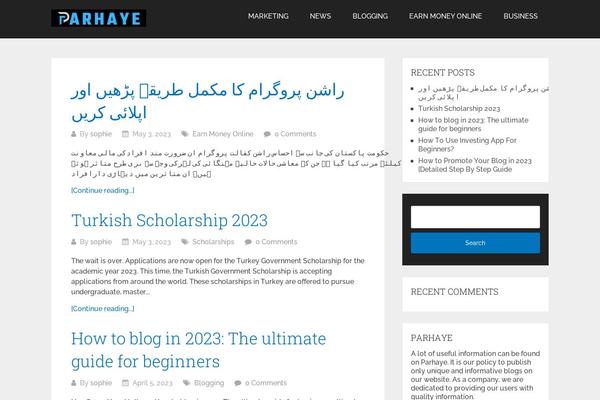 Schema Lite theme site design template sample