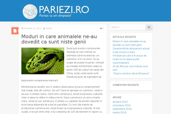Icy theme site design template sample