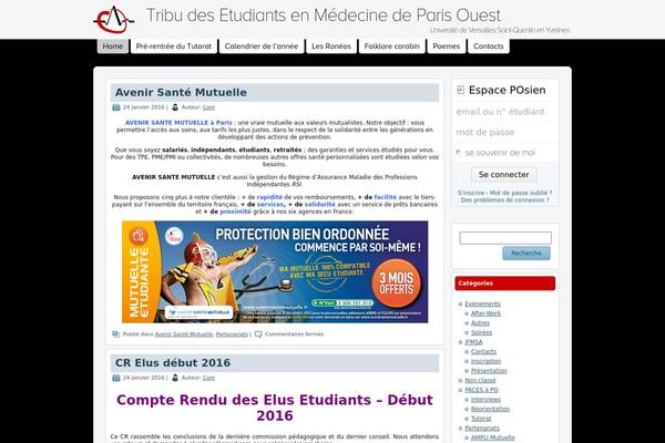 Tempo theme site design template sample