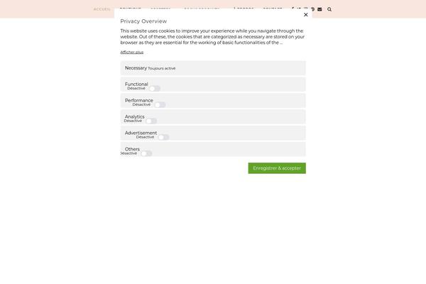 Soledad theme site design template sample
