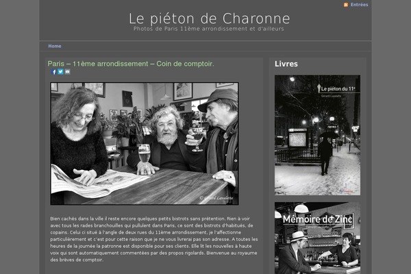 louisebrooks theme site design template sample