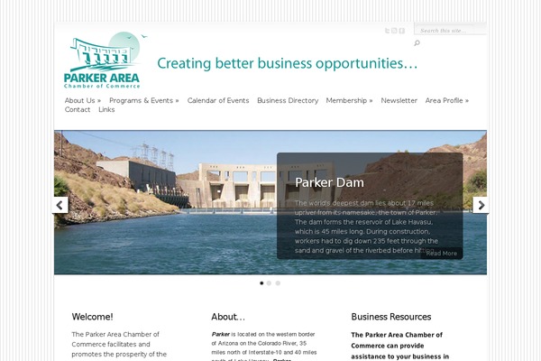 Chameleon theme site design template sample