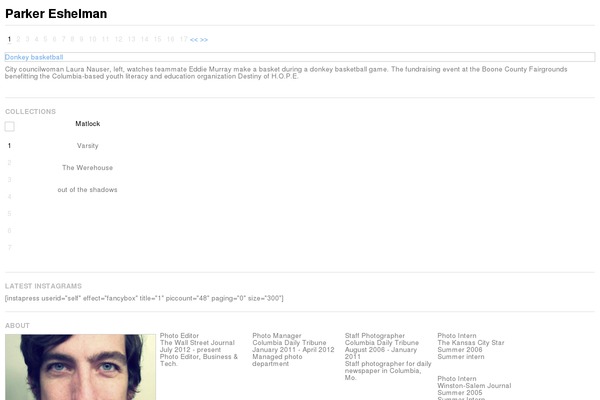 Parker theme site design template sample