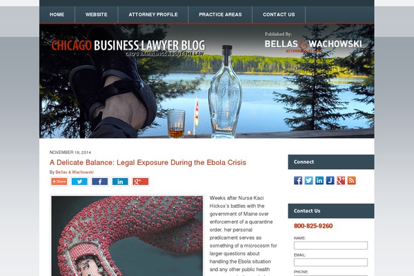Willow theme site design template sample