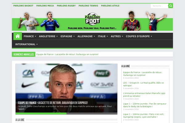 Sahifa theme site design template sample