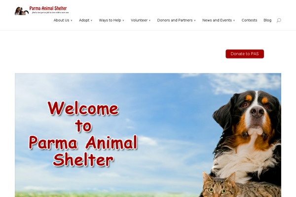 Childthemedivi theme site design template sample