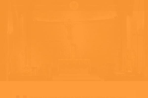 The7 Child theme site design template sample