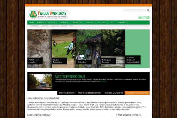 Pa theme site design template sample