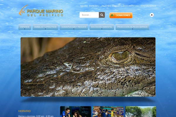 MiCasa theme site design template sample