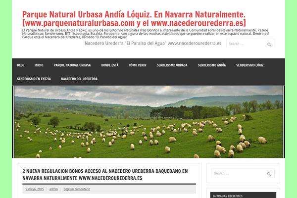 Dynamic News Lite theme site design template sample