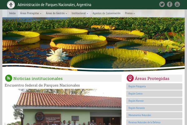 apn theme websites examples