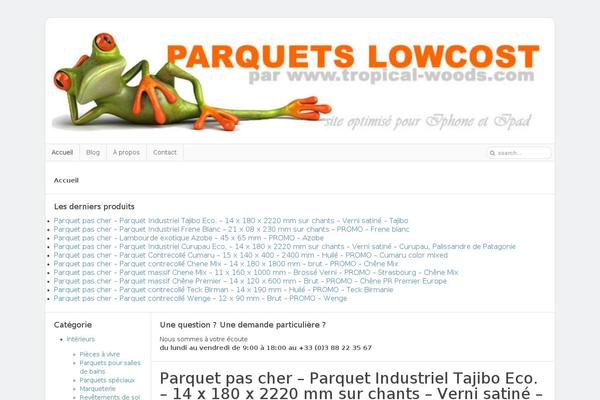 Nano theme site design template sample