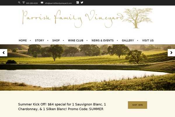 Store theme site design template sample