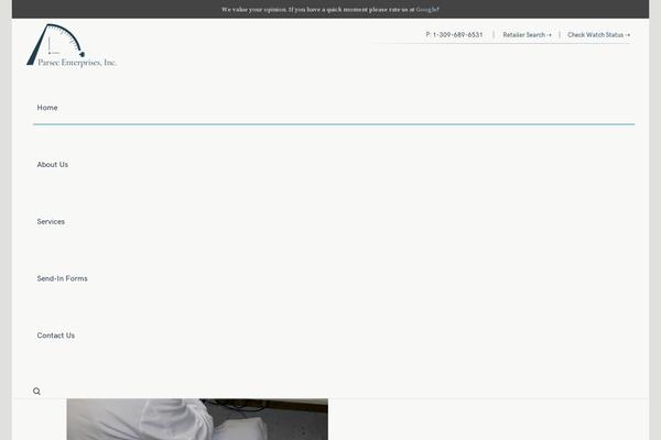 Site using Elfsight-instashow plugin