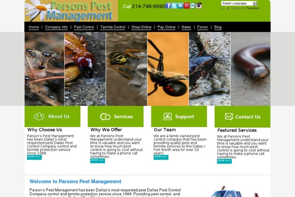Site using Mingle-forum-master plugin