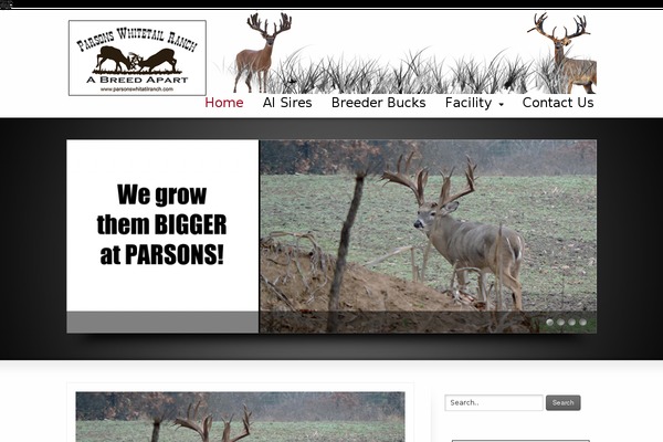 Striking theme site design template sample