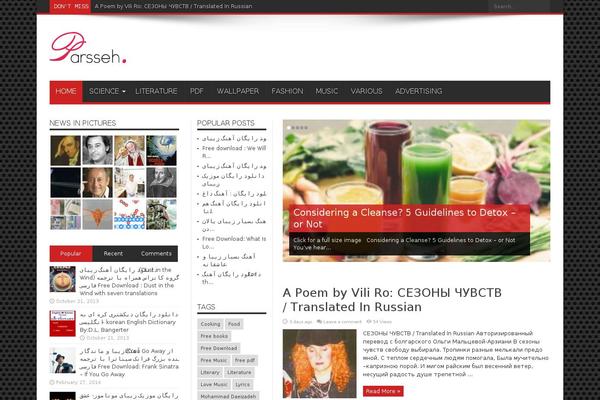Newsment theme site design template sample