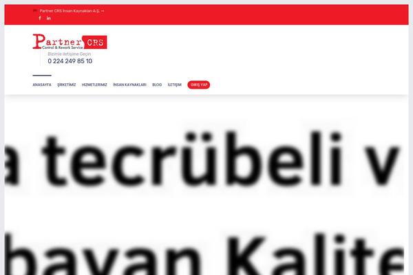 Site using Dw-mega-menu plugin