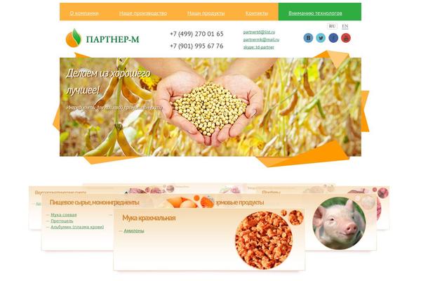 Epical theme site design template sample