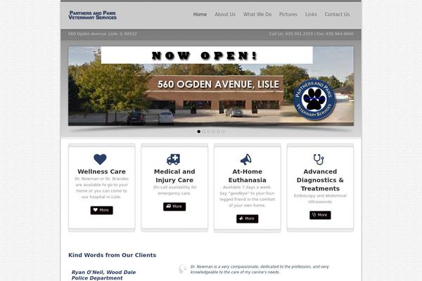 Site using Lifelearn-accessibility plugin
