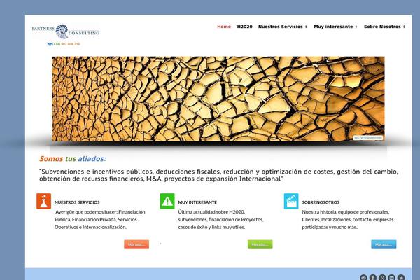 partnersconsult.com site used Yourself-personal