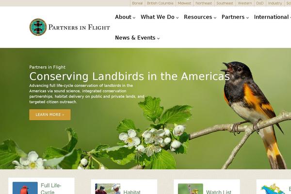 Site using ACF Recent Posts Widget plugin