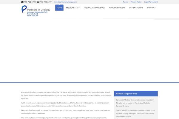 SoulMedic theme site design template sample