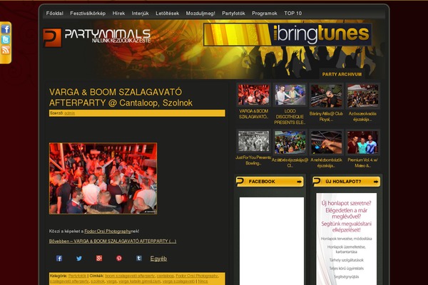 Wp Magazine theme site design template sample