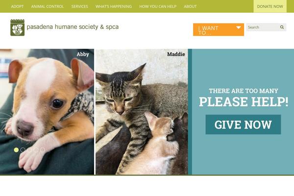 Site using Styles-layouts-gf-grid-layouts plugin