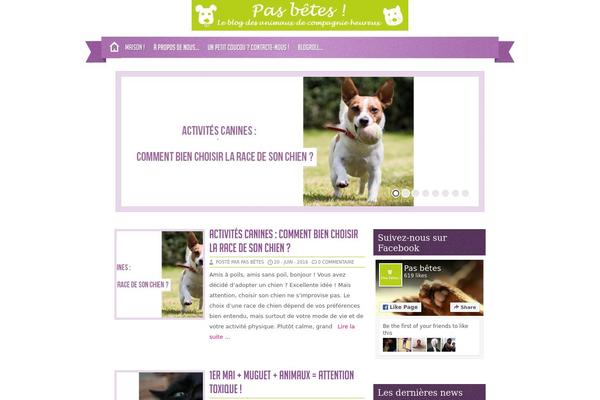 Zylyz theme site design template sample