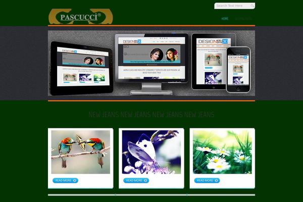 D5 Design theme site design template sample