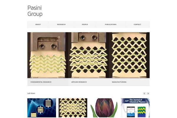 Pitch theme site design template sample