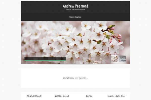 Theron Lite theme site design template sample