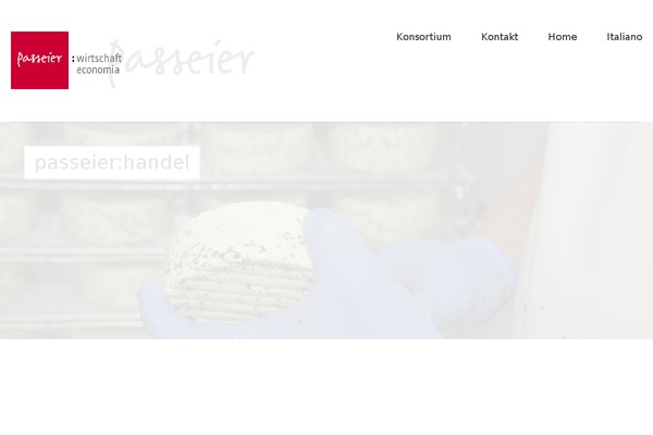 Baylys theme site design template sample