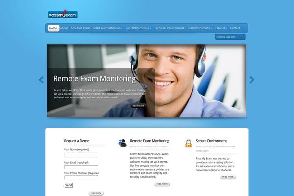 TheProfessional theme site design template sample