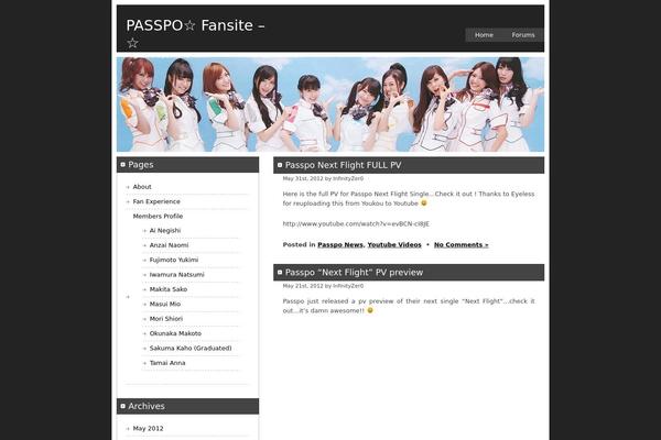 Professional theme site design template sample