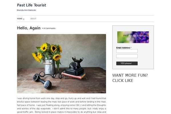 Site using Facebook-page-promoter-lightbox-premium plugin