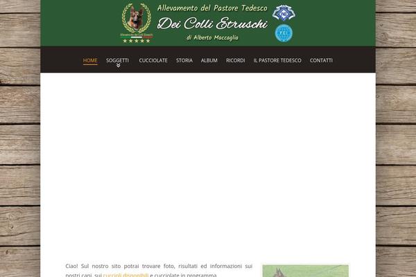 Site using Ari-fancy-lightbox plugin