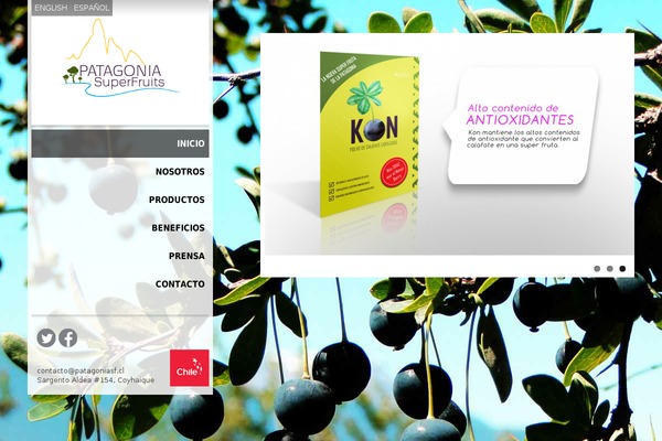 Site using Advanced AJAX Page Loader plugin