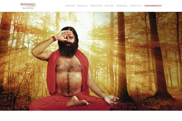 Site using WP jQuery DataTable plugin