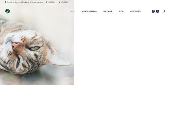 patasepelos.net site used Insugroup