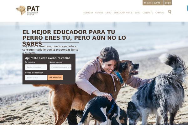 Site using Divi-mobile plugin