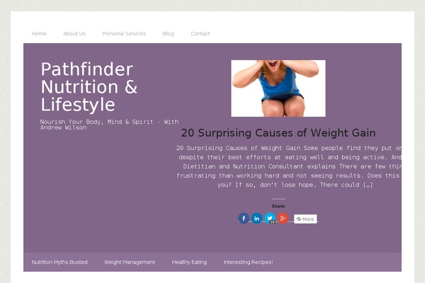 Lifestyle Pro theme site design template sample