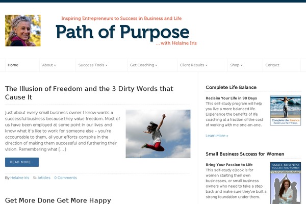 WP-Prosperity theme site design template sample