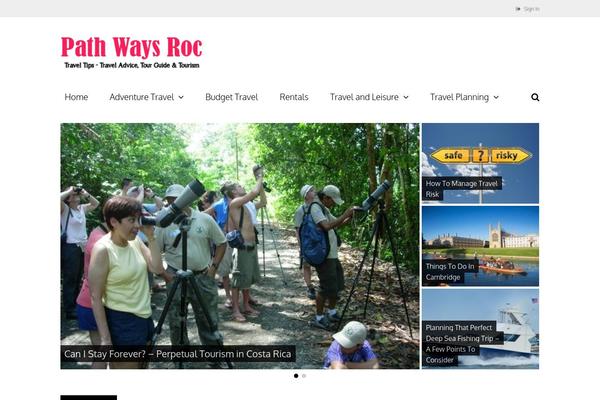 Thereview theme site design template sample