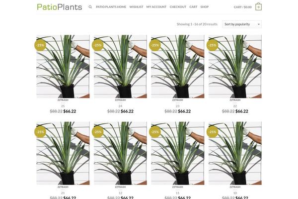 Site using Advanced-woo-search plugin