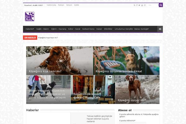 Site using Custom-fonts plugin