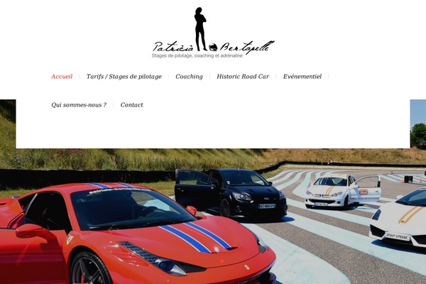 Nouveau theme site design template sample